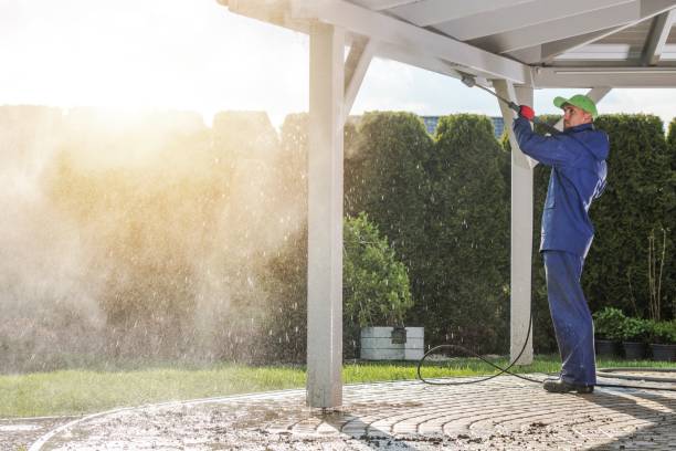 Animal Enclosure Cleaning in Douglas, WY